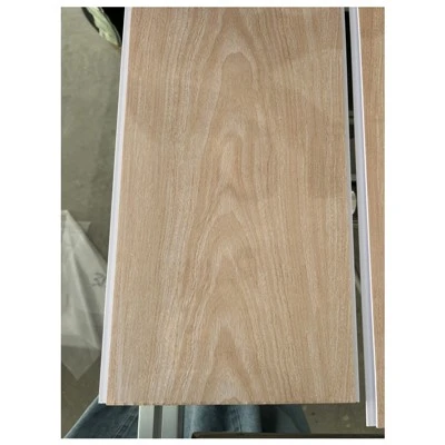 PVC Plafondpaneel Techo PVC