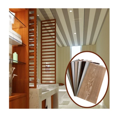 PVC Plafondpaneel Techo PVC